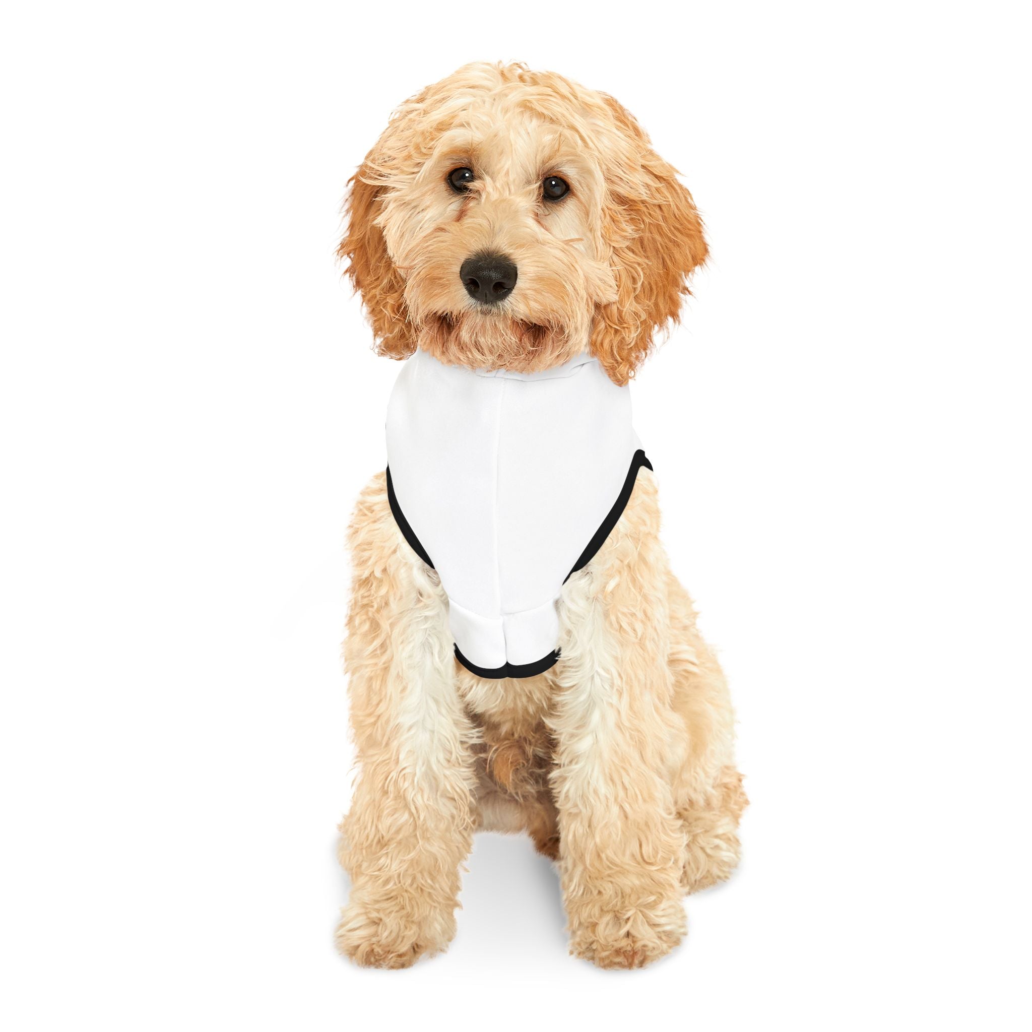 No Kings Pet Hoodie for Cats & Dogs