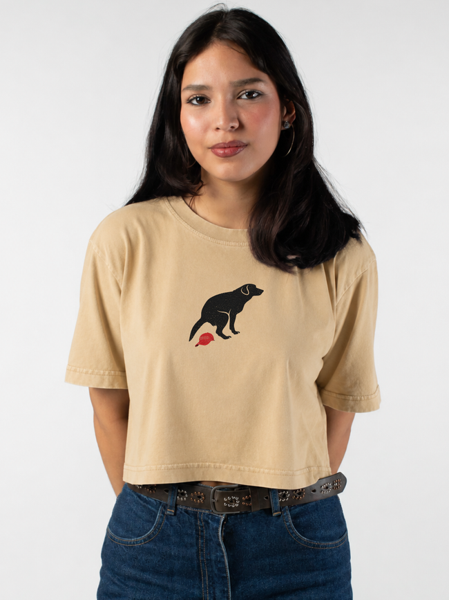 Dog Left a Present Crop Top