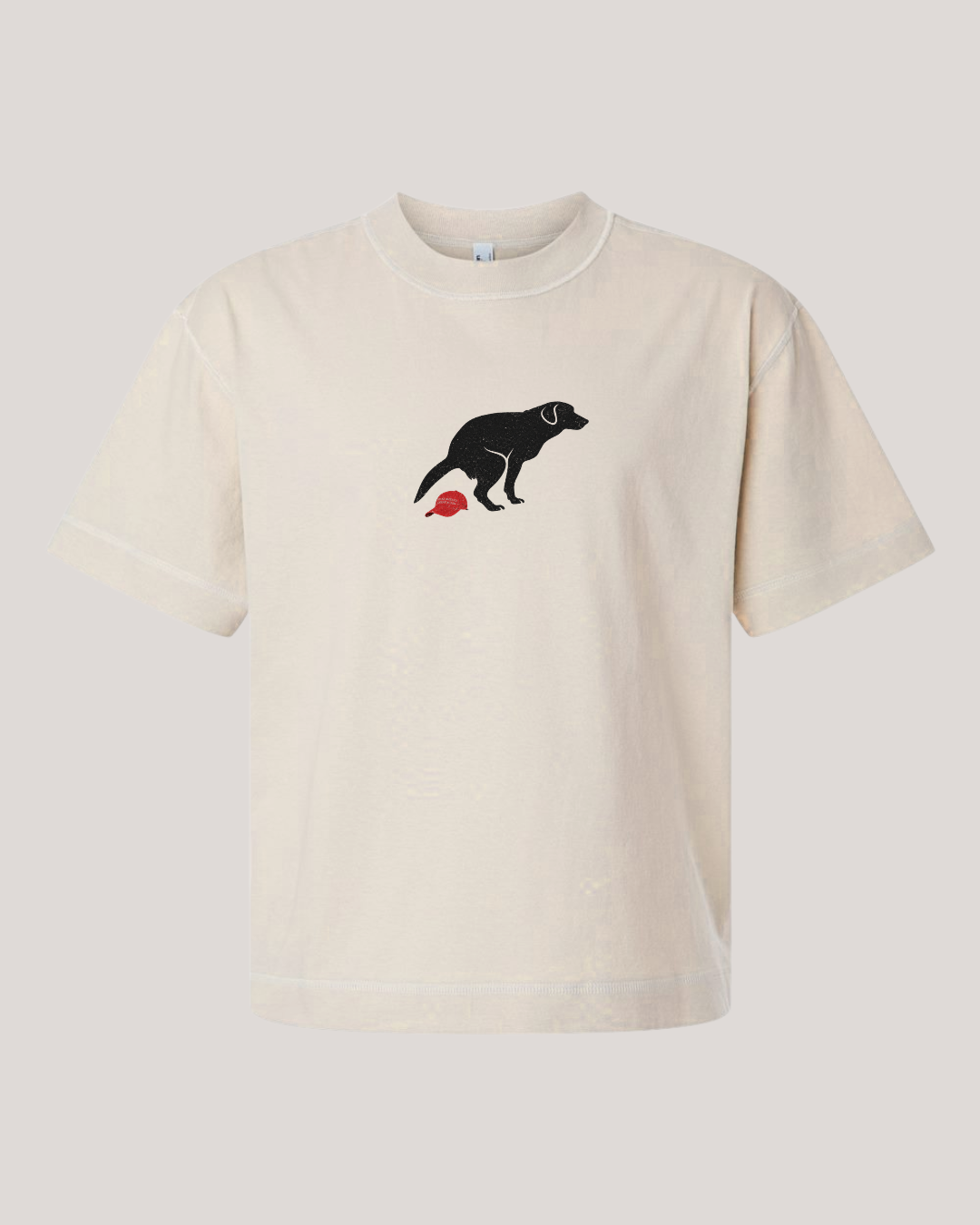 Dog Left a Present Unisex Boxy Tee